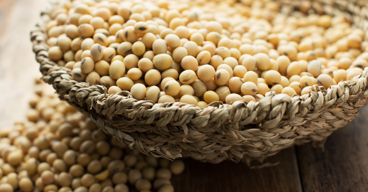 如何在日常生活中使用大豆卵磷脂颗粒小贴士