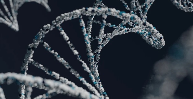 "全球"DNA修復新模式的突破性發現